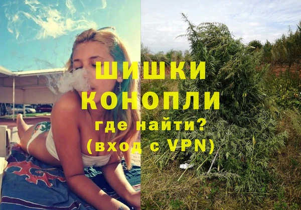 прущие грибы Алзамай